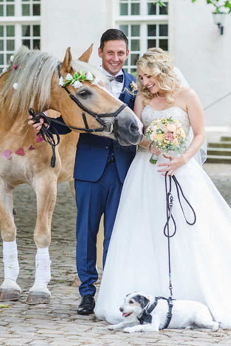 Brautpaar mit Pferd und Hund