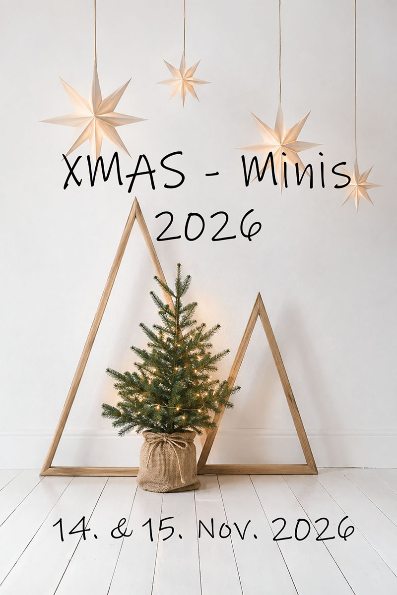 Weihnachtsfotos